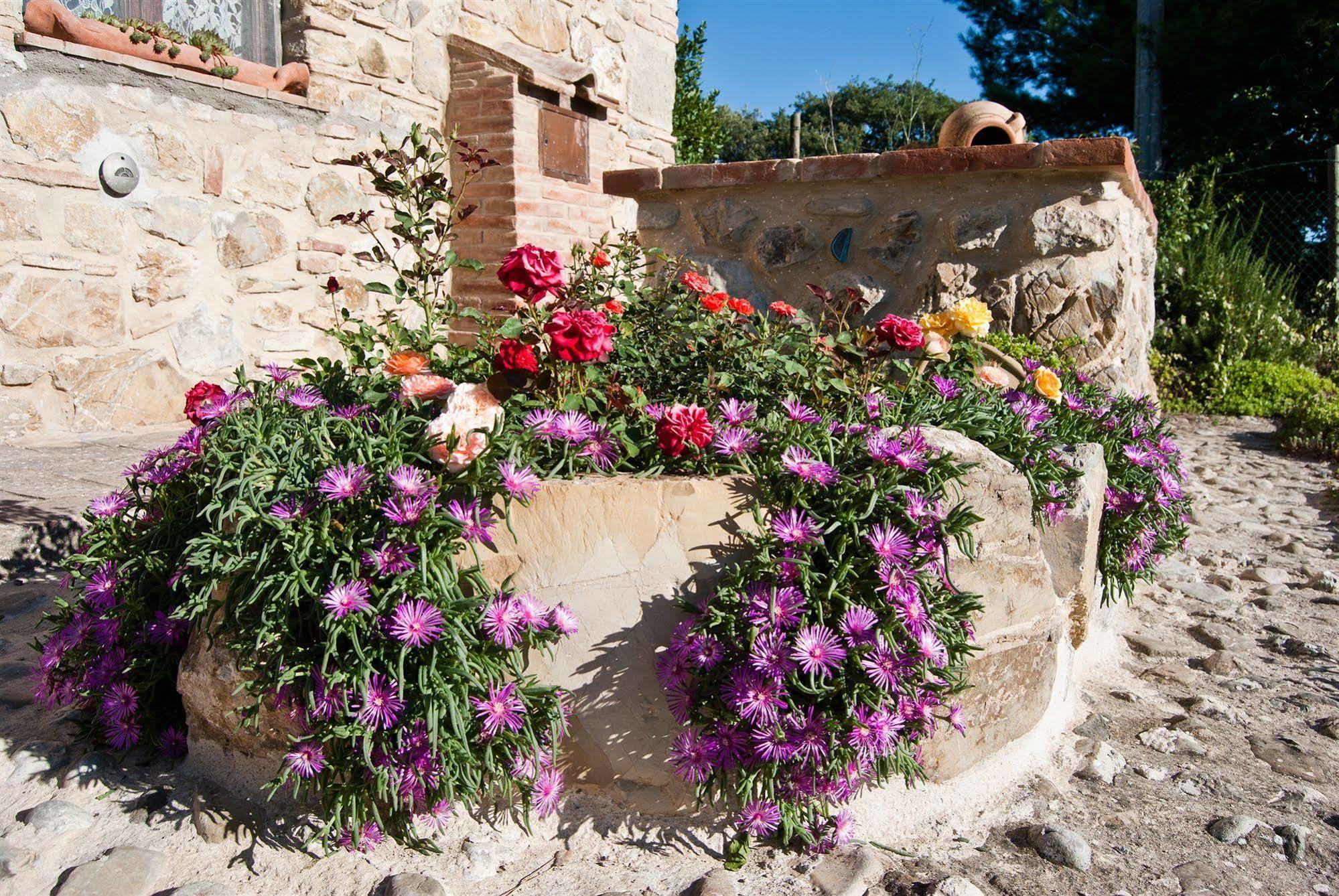 Agriturismo Grossola Castiglione d'Orcia Exterior photo